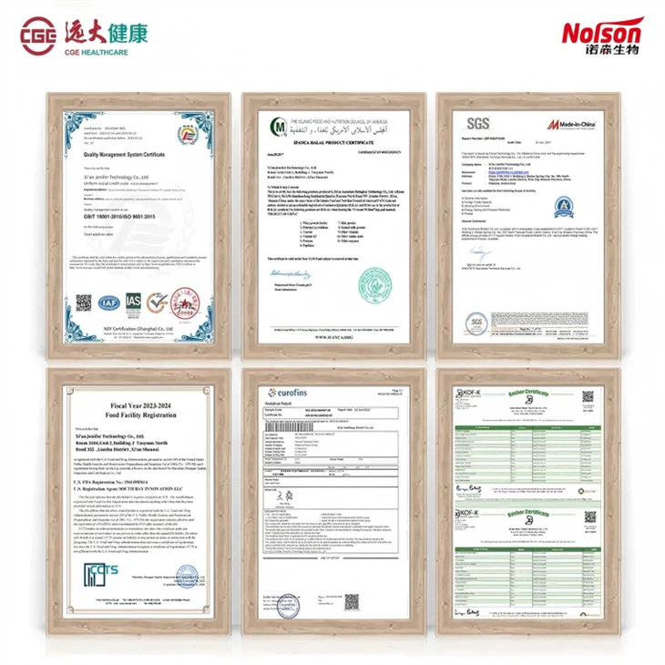 Bacillus Mucilaginosus Krassilnikov