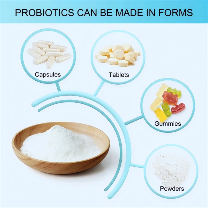 Lactobacillus Salivarius
